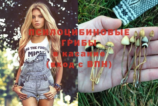 мескалин Кукмор