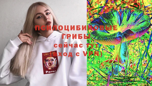 амф Краснотурьинск