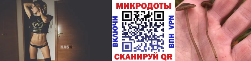 Купить где  Никольск  Галлюциногенные грибы Magic Shrooms 